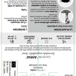 Lavandula Angustifolia Anna : C. 3L -Vert Jolie Soldes Boutique 510699 005