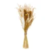 ATMOSPHERA Bouquet De Fleurs Séchées D. 20 X H. 55 Cm -Vert Jolie Soldes Boutique 64821bb870a261.80419617