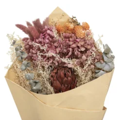 Vert Jolie Soldes Boutique -Vert Jolie Soldes Boutique 648229d7965a82.84424935