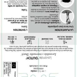 Lavande X Intermedia Dutch Lavander Pot 3L -Vert Jolie Soldes Boutique 739237 002