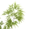 Acer Palmatum 'Seiryu' :C3L H.40/60cm -Vert Jolie Soldes Boutique 748297 2120256