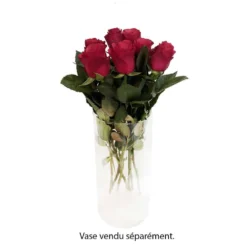 Vert Jolie Soldes Boutique -Vert Jolie Soldes Boutique 748900 007