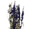 Bouquet De Fleurs Séchées Delphinium -Vert Jolie Soldes Boutique 837661 1697305