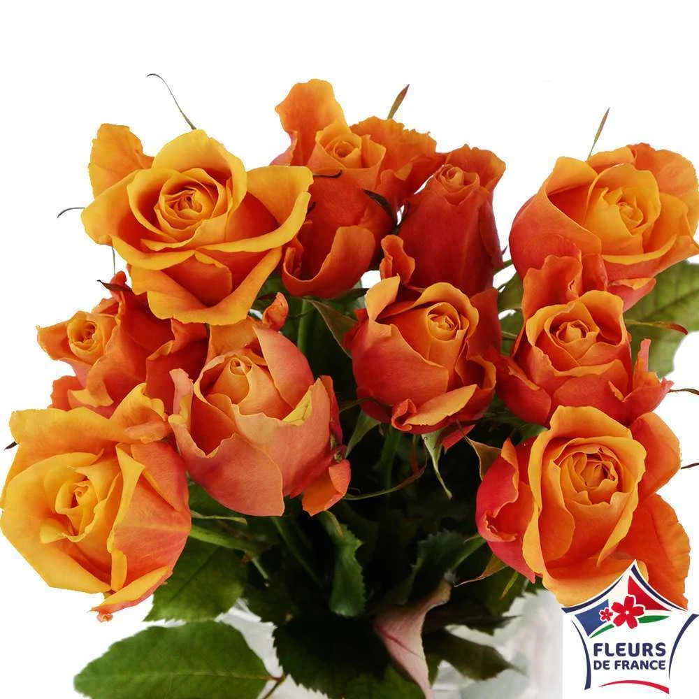 Botte 10 Roses ''Fleurs De France'' H.50cm Coloris Variables 4 Botte 10 Roses ''Fleurs De France'' H.50cm Coloris Variables – Image 2
