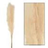 Bouquet Séché Pampas Mace 115-117cm 3pcs -Vert Jolie Soldes Boutique 933178 2064808