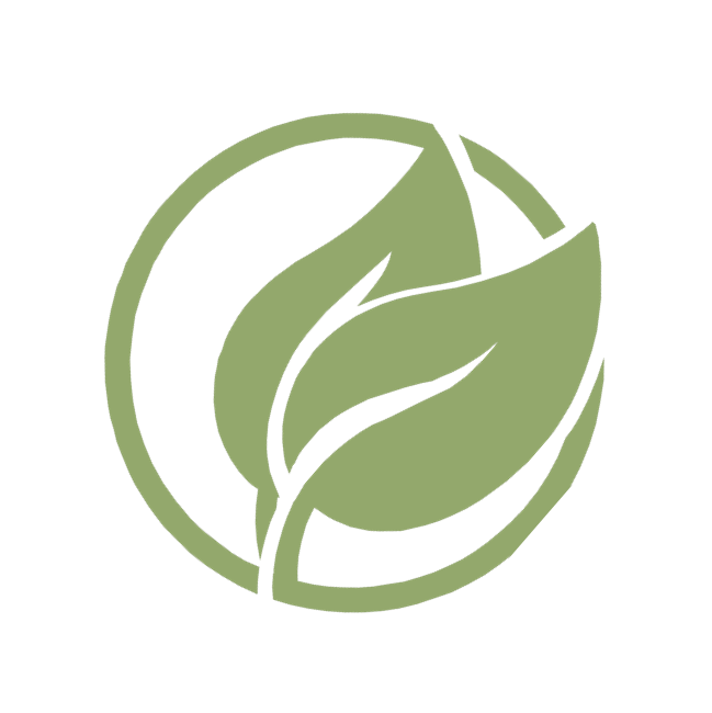 Vert Jolie Soldes Boutique